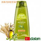 橄欖油小麥蛋白修護洗髮露