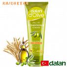【土耳其dalan】橄欖油小麥蛋白修護護髮素 (乾燥/受損髮質)