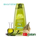 【土耳其dalan】橄欖油米麥蛋白豐盈洗髮露(纖細/扁平髮質) 